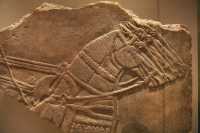 132 - Nimrud, Palais d'Assurbanipal (9°s) Attelage *