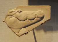 41 Crocodile - Egypte - 26° dynastie (664-525 BC)