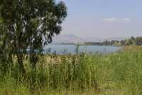 65 Le lac de Tibériade à Tabgha-Dalmanutha