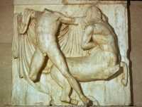 499 Métopes (combat des Lapites et Athéniens contre les centaures