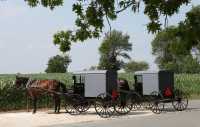 22 Carrioles Amish