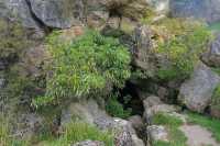 125 Clifden Cave