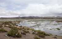 123 Lagune de Parinacota