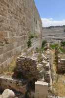 27 Côté oriental du mur sud et mont des oliviers