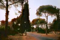 537 Via Appia