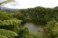 075 Cratère sud & lac Emeraude (Waimangu)
