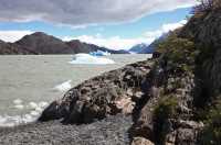 065 Lago Grey & icebergs