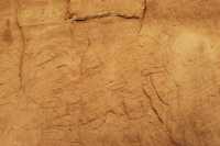 085 Les chariots - Gravures rupestres égyptiennes