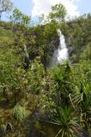 44 Wangi Falls