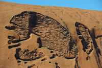31  Uluru - Reliefs