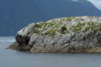 072 Rocher au bout de Doubtful Sound