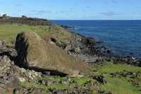 15 Moai jamais érigé - Akahanga