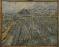 060 Van Gogh - Pluie (1889)