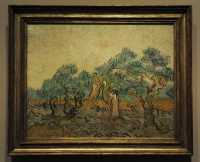 034 Van Gogh - L'oliveraie (1889)