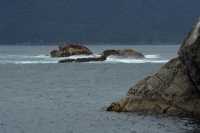 073 Rochers au bout de Doubtful Sound