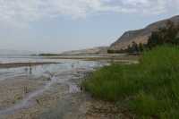 65 Le lac près de Magdala - Tibériade à l'arrière plan à droite