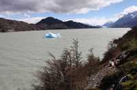071 Lago Grey & iceberg