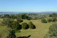 13 Restes d'un fort maori dans un ancien volcan- Cornwall Park