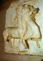 498 Métopes (combat des Lapites et Athéniens contre les centaures)