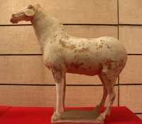 111 Cheval peint (Tang 618-907)