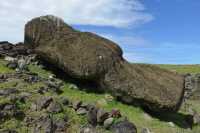 18 Moai jamais érigé  - Ahu Akahanga