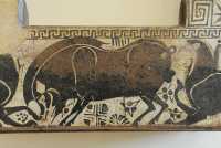 057 Taureau - Couvercle de sarcophage (Clazoménien 6°s)