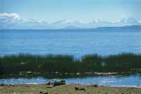 247 Lac Titicaca (Matin)