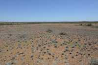 12 Le désert à Meteorite Craters B