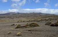 13 Rangipo Desert & Mont Ruapehu