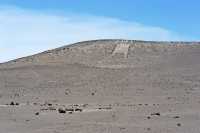 088 Géant de l'Atacama
