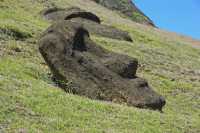 67 Moai sur la pente du volcan
