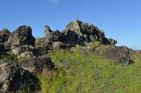 69 Site du Moai du Ahu Pakaia