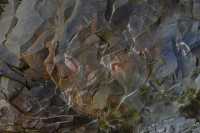 08 Traces d'une fresque de l'homme-oiseau (Tangata manu)