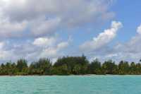 144 Ile coralienne vue du lagon