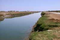 104 Canal à Afaq (fleuve Kebar)
