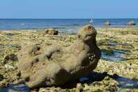 08 Eletot - Etrange rocher sur la plage