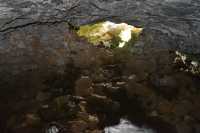 22 Grotte d'Ana Te Pahu