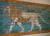 51 - Lion - Babylone sous Nabuchodonosor II (604-562)