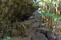 05 Bananiers dans la Grotte d'Ana Te Pahu