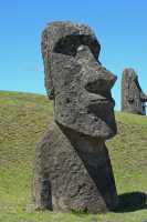 74 Moai sur la pente du volcan