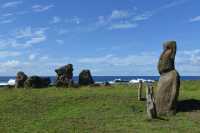 17 Moai isolé - Vaihu