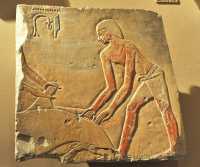 032 Chasse - Deir el Bahri (11° dyn. 2130±) Temple de Mentuhotep II