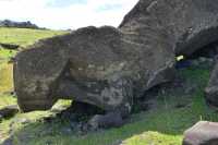 20 Moai jamais érigé (Orbites non creusées)- Ahu Akahanga