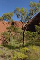 09 Uluru