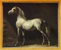 38 Cheval arabe - Th.Géricaulult (1791-1824)
