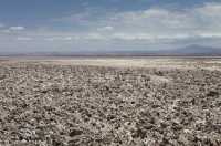 39 Salar de Atacama