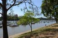 19 Le jardin botanique - Brisbane river