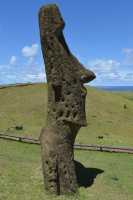 36 Moai sur la pente du volcan