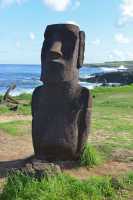 01 Moai récent