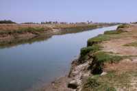 107 Canal à Afaq (fleuve Kebar)
